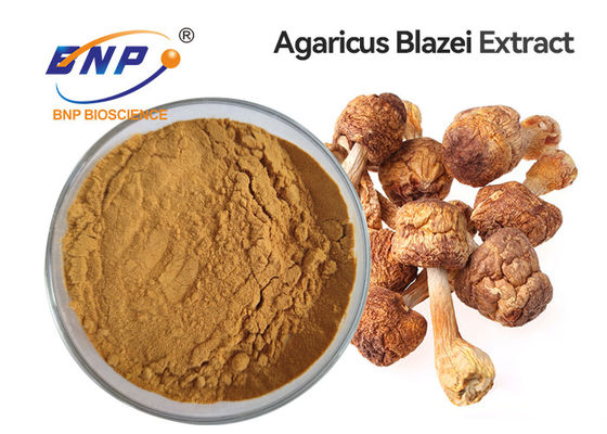 건강 관리 보충교재 버섯 추출물 분말 유기 Agaricus Blazei Murill