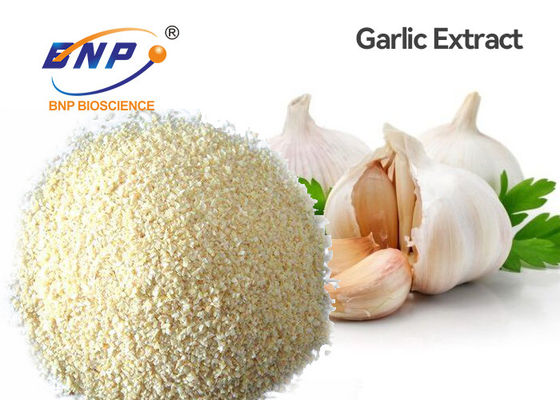 항생제 Allium Sativum Bulb Extract 5% Allicin Fine Powder