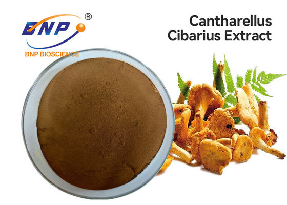 Cantharellus Cibarius 버섯 추출물 분말 황갈색 GMP