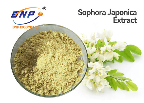 노란 Sophora Japonica 추출물 분말 음식 급료 케르세틴 이수화물 분말