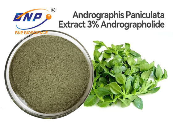 3% Andrographolide 자연적인 항바이러스제는 Andrographis Paniculata 잎 추출물 분말을 보충합니다