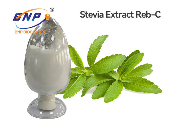 백색 스테비아 잎 추출물 분말 RD 95% HPLC 시험 식품 첨가물