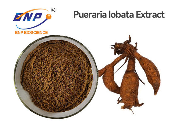 칡 뿌리 자연적인 식물은 이소플라본 40% 갈색 황색 푸에라리아 Lobata 분말을 추출합니다