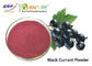 자주색 빨간 까치밥 나무 주스 분말 음식 급료 Ribes Nigrum 과일 추출물