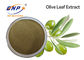 HPLC 브라운 황색 자연적인 식물은 Oleuropein 60% 올리브 잎 추출물 분말을 추출합니다
