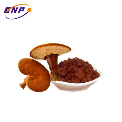 천연 브라질 버섯 추출물 분말 다당류 10%-50% 공급