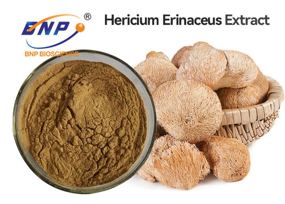 갈색 Hericium Erinaceus 버섯 추출물 분말 원료