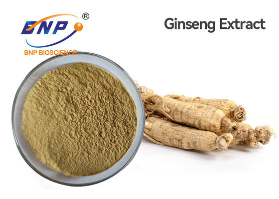 Panax Ginseng Ca Meyer 천연 식물 추출물 Ginsenoside 5%