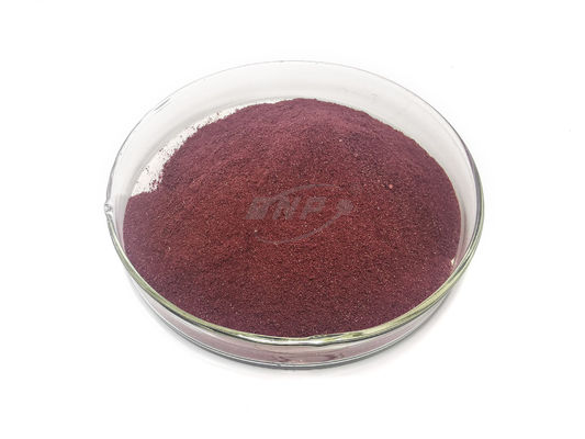 Elderberry 분말 주스 분말 20%Polysaccharide 식물 추출물