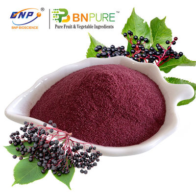Elderberry 분말 주스 분말 20%Polysaccharide 식물 추출물