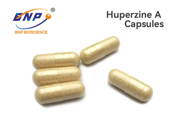 허브 추출물 Huperzia Serrata 서플리먼트 클리어 200mg 캡슐